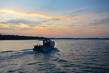Mangrove & Irrawaddy Dolphin Watching Cruise from Kuching
