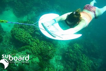 snorkflig crystal beach (adventure)