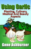 Using Garlic: Planting, Culinary, Medical And Beauty Aspects