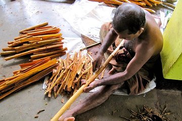 Bentota Village tour | Boat Ride | Cooking Demonstration & Lunch | Turtles