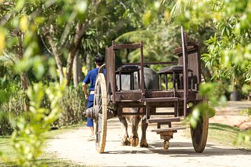Full-Day Phuket Local Life Culture Tour with Pickup and Lunch