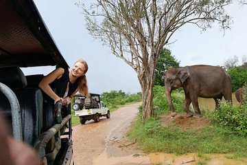 Udawalawe National Park Private Safari with Naturalist-Guide