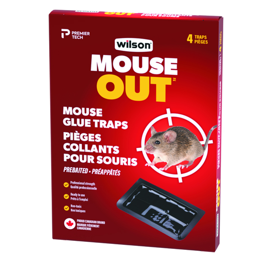 Wilson Predator Pre-Baited Mouse Glue Trap (4-Pack)
