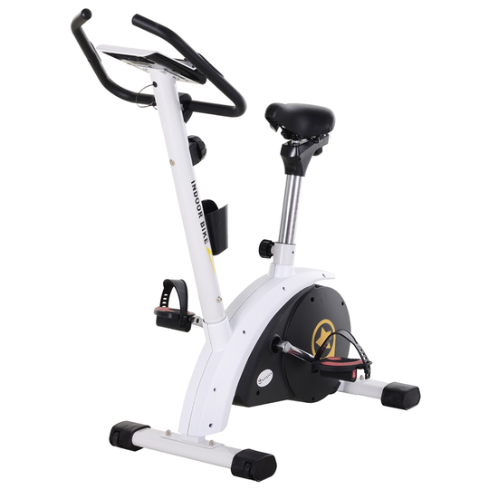 Soozier Recumbent Foldable Exercise Bike