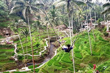 Bali Ubud Tour with Rice Terrace Swing