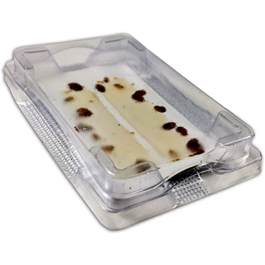 Bird-X Bed Bug Alert Monitor Trap - Pack of 144