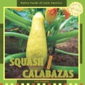 Squash / Calabazas