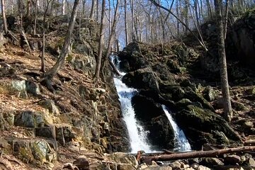 Fitzgerald Falls Hiking Full-Day Private Guided Tour