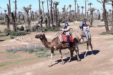 PACK QUAD AND CAMELS RIDE bab atlas min 2 pers -Private