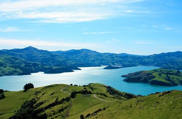 Akaroa and Banks Peninsula Wild Penguins Tour