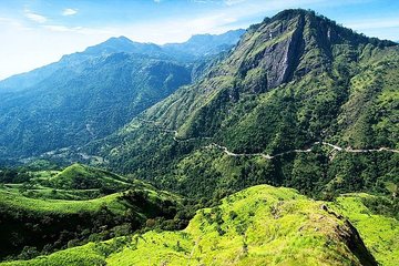 Ella Day Tour from Nuwara Eliya/ Train Ride/ Breakfast - ASY Tours