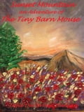 Sunset Mountain an Adventure of The Tiny Barn Mouse