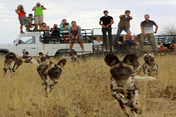 Behind The Scenes of Wildlife Conservation