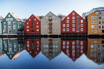 Trondheim (TRD) to City Center to Airport - Private Transfer