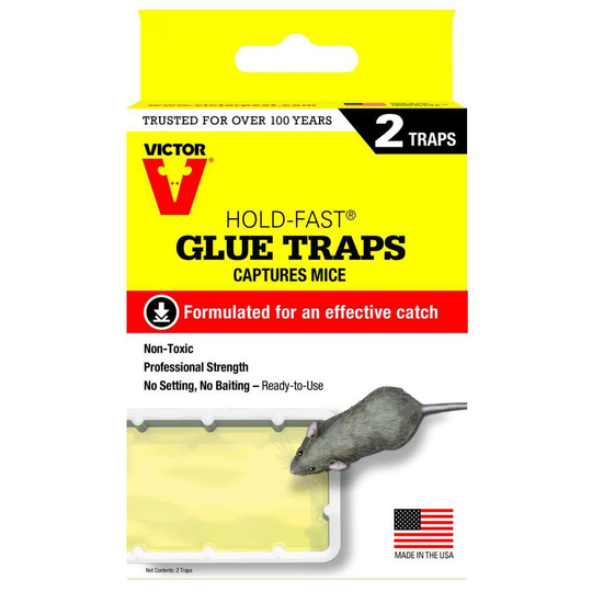 Victor Hold-Fast Mouse Glue Tray /Mouse Trap (2-Pack)