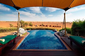 Platinum Conservation Drive & Breakfast at Al Maha Private & Sharing