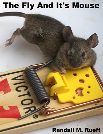 The Fly And It's Mouse