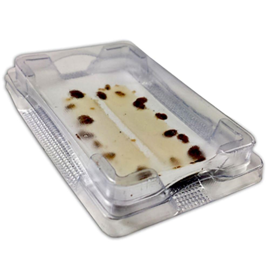 Bird-X Bed Bug Alert Monitor Trap - Pack of 12