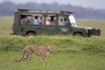 Private Big 5 Safari Tour Full Day