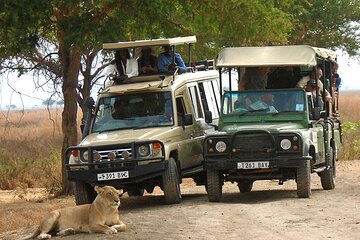 2 Days Mikumi Safari Package