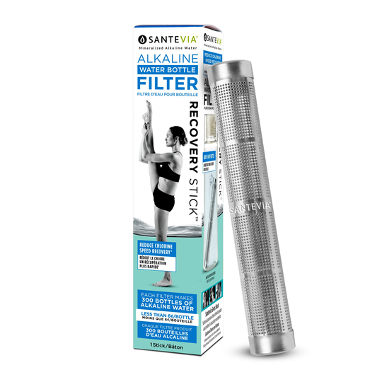 Santevia Water Systems Santevia Water Bottle Filter Stainless Steel Recovery Stick