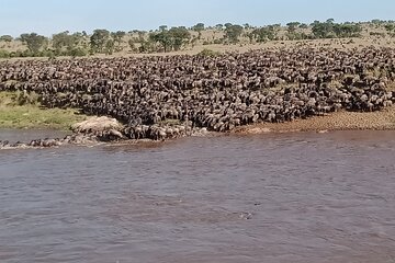 5 Days Tanzania Private Serengeti Wildebeest Migration River Crossing Safari