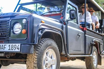 Afternoon Safari to Yala National Park