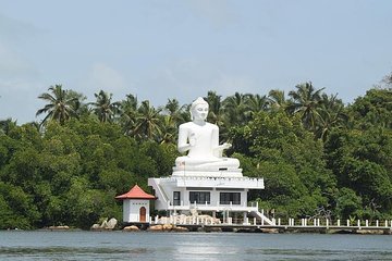 Bentota River Safari