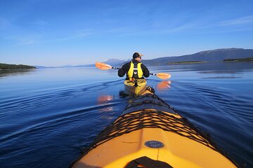 Small-Group Kayaking - With Citizen Science - from Senja