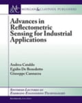 Advances in Reflectometric Sensing for Industrial Applications