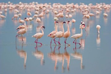Full Day Bundala Safari with Picnic Lunch from Hambantota Harbour