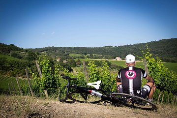 Classic Chianti Wine Region Bike Tour