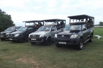 Special leopard safari in Yala National park - 04.00 am to 11.30 am