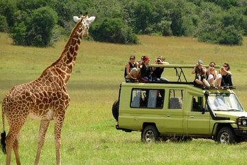 4 Days Serengeti migration-safari and ngorongoro