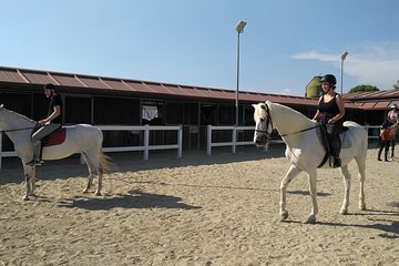 horses ride Salou