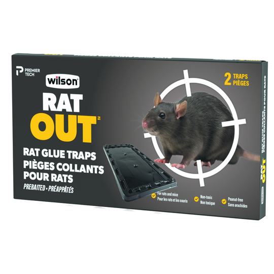 Wilson Predator Pre-Baited Rat and Mouse Glue Trap (2-Pack)