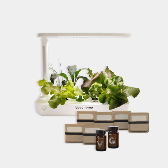 BAZZ Indoor Garden With 12 Pods Starter Kit