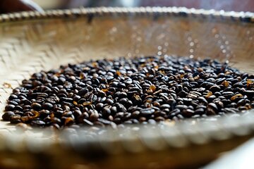 Private Meru Coffee Tour in Nkoaranga