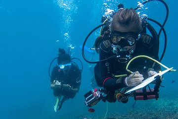 Discover Conservation Diving