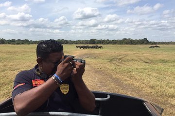 Yala National Park Full-Day Jeep Safari with Lunch