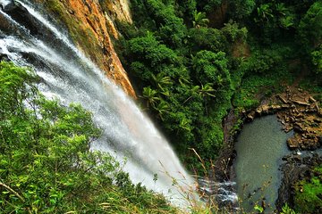 Rainforest & Waterfalls Extravaganza