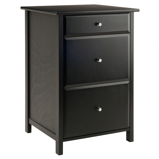 Winsome Wood Delta 20.87-in x 30.71-in Black File Cabinet