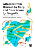 Attacked from Beneath by Carp and from Above by Seagulls