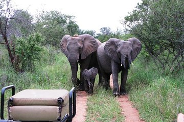 Siyafunda Wildlife and Conservation