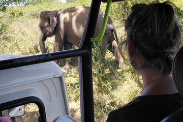 A Udawalawa safari day tour from Galle / Colombo (All inclusive tour )