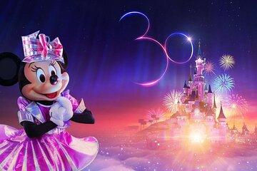 Private Transfer from Disneyland to Beauvais Airport (BVA)
