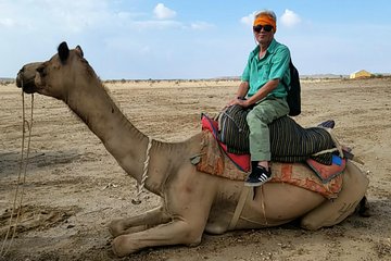 Romany's Non-Touristic Camel Safari