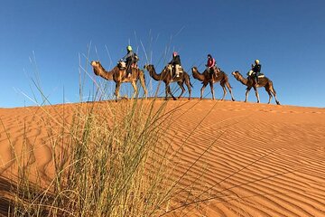 4-Day Sahara Desert Private Tour from Fes to Marrakech via Merzouga