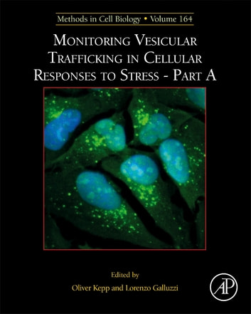Monitoring Vesicular Trafficking in Cellular Responses to Stress