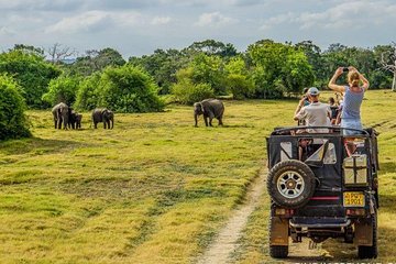 Wilpattu Morning Safari Day Tour - From Negombo